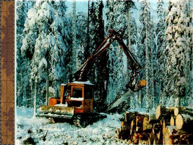 О должностной инструкции инженера лесного хозяйства лесничества, совмещающего работу по администрированию платежей от использования лесов, поступающих в бюджетную систему Российской Федерации.