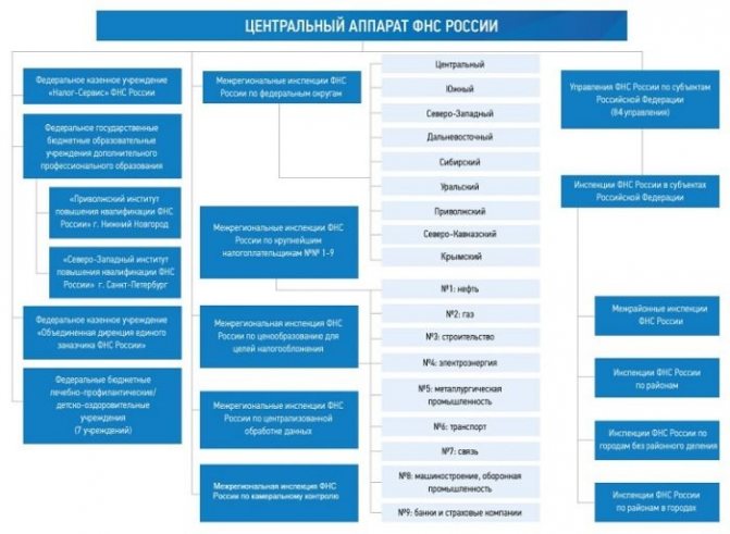 Налоговые органы в Российской Федерации: статус, структура, задачи и функции