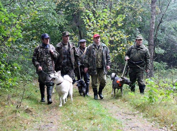 Лесные войны: как в России борются с незаконной охотой